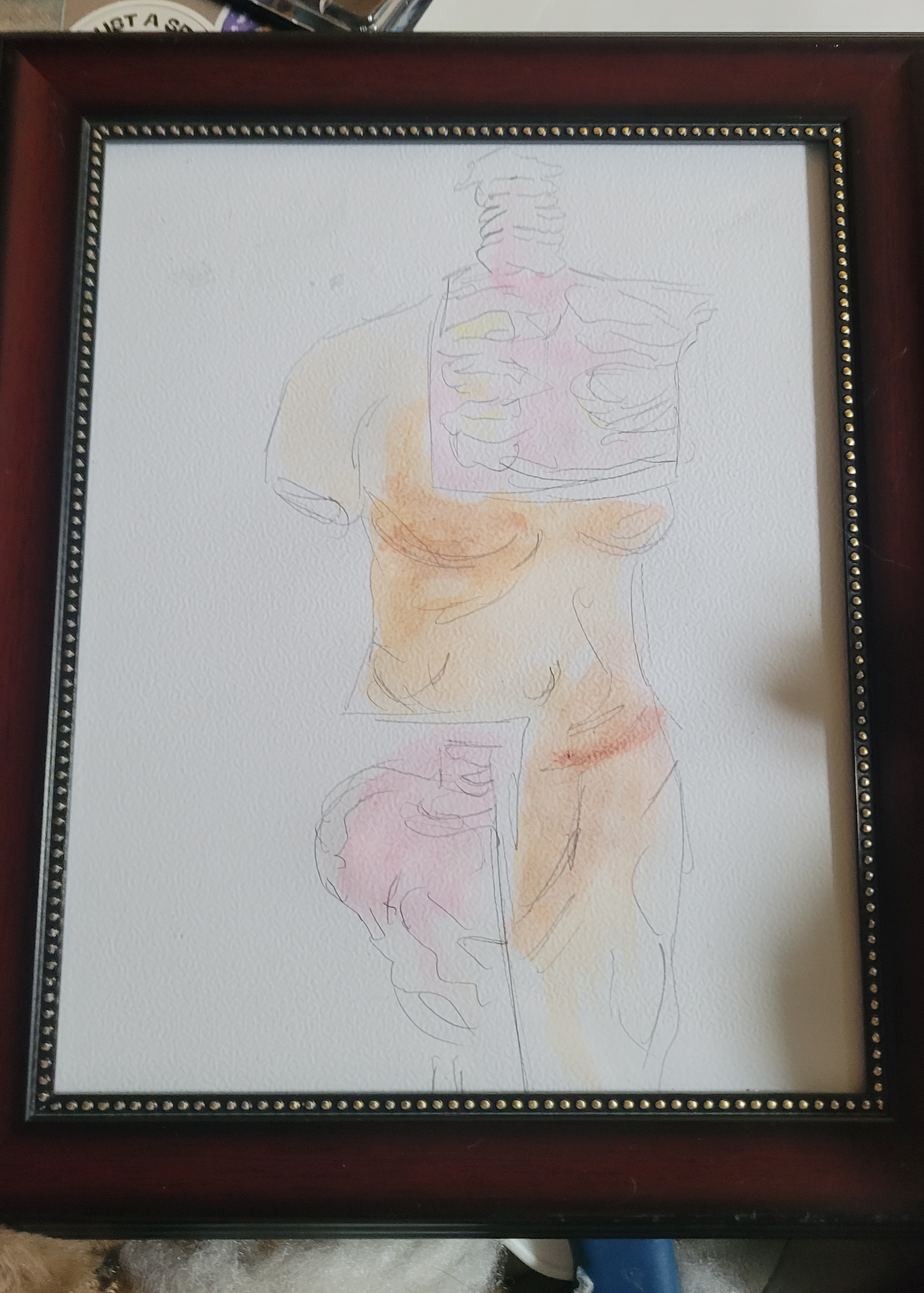 Human Body 