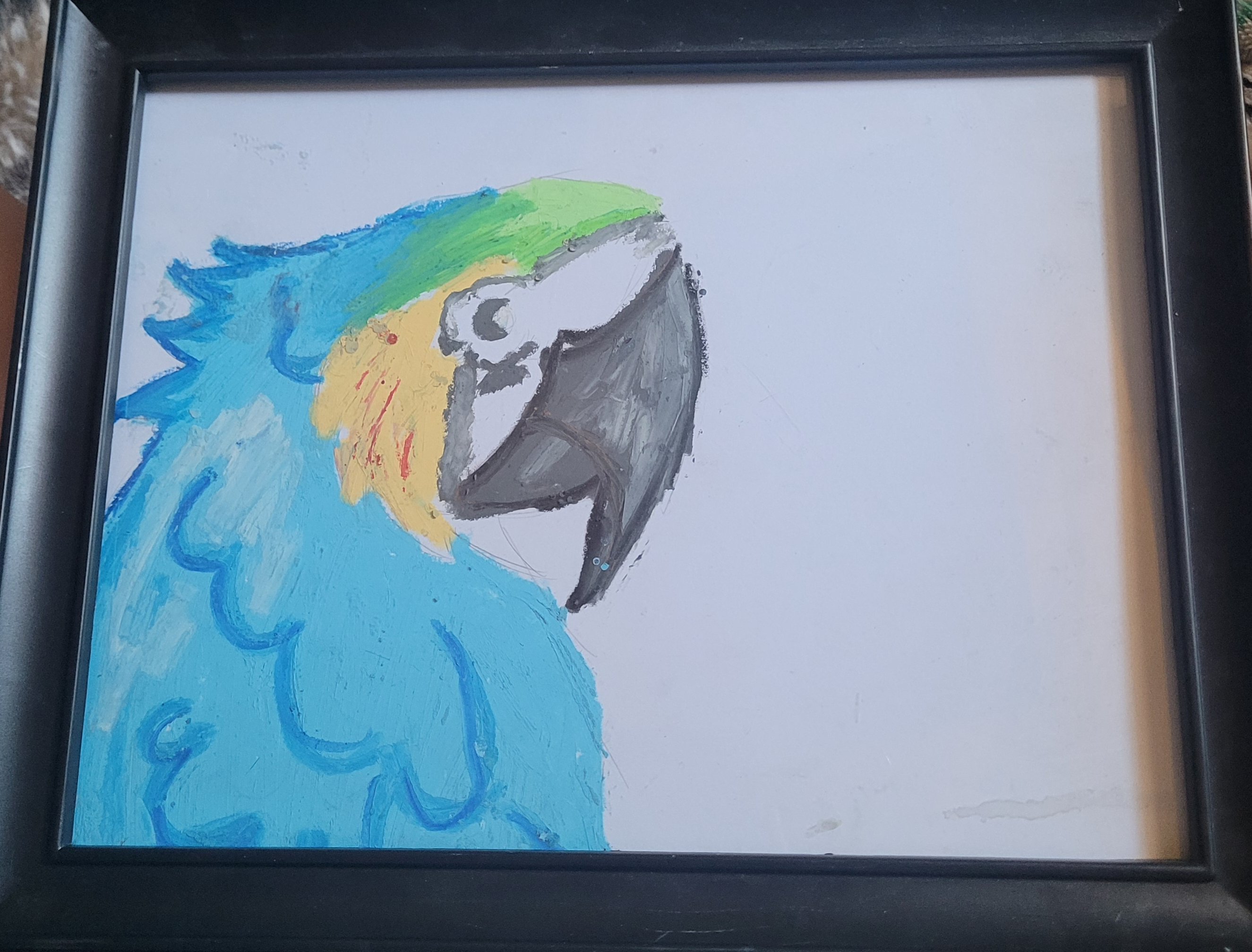 Parrot 